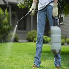 Noida various interior decoration companies conjointly avail these services before starting with the decoration or refurbishing services. 10 Best Pest Control In Noida Pest Control Charges In Noida