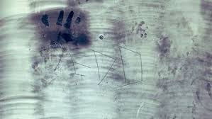 A man has died following a shooting in sydney's cbd. Shootings News Headlines Breaking News Updates From Around The World 9news