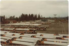 Image result for Brown 1983 Fleet