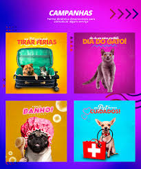 Social Media Petshop On Behance Social Media Design Social Media Branding Pet Branding