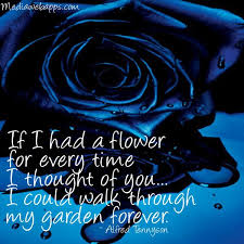 Within this blog, we will discuss on a single subject. Blue Rose Flower And Love Quote Sweet Love Words Beautiful Love Quotes Romantic Quotes