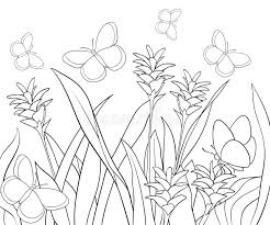 Spring coloring books, coloring book flowers adult. Adult Coloring Book Page A Plant With Flowers Line Art Style Illustration Stock Vector Illustration Of Flora Flower 126678919