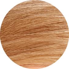 It looks great on graying hair as well as on any dark natural shades. Natural Light Blonde Hair Dye 8n Permanent Hair Colour Tints Of Nature