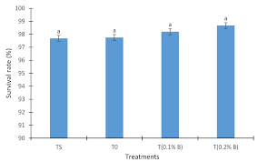 Image result for Afrostyrax