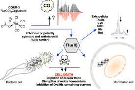 We did not find results for: A Thiol Reactive Ru Ii Ion Not Co Release Underlies The Potent Antimicrobial And Cytotoxic Properties Of Co Releasing Molecule 3 Sciencedirect