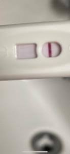 Ich trage schon einen bh und habe in den letzten wochen auch oft kopfschmerzen,unterleibsschmerzen und starken ausfluss. Periode Kommt Einfach Nicht Test Wird Auch Nicht Positiver Urbia De