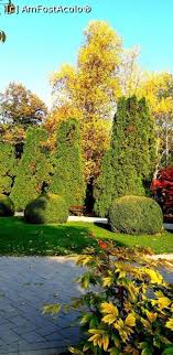 Crizanteme 2019 gradina botanica iasi youtube. FrumuseÅ£ea La Ea AcasÄ GrÄdina BotanicÄ Anastasie FÄtu Iasi Impresii La Pas Prin Gradina BotanicÄ IaÈi Amfostacolo