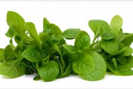 Bayam dan kale sama-sama menyehatkan, tapi mana yang lebih baik?