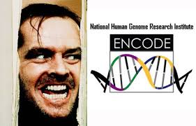 What Makes Dan Graur So Angry? @BioMickWatson