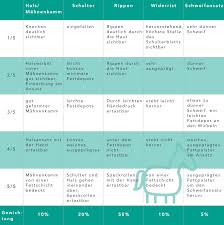 Ab wann spricht man von übergewicht? Die Folgen Von Ubergewicht Beim Pferd Equisense Blog