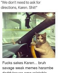 25 Karen Cat Memes Images Factory Memes