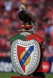 See more of sport lisboa e benfica on facebook. 31 Benfica Ideas Soccer Portugal Soccer We Are The Champions
