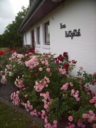 Dagebüll, ganz im norden von deutschland ist ein ort zum ausruhen, baden, wandern, wattwandern oder radfahren. Haus Halligblick Ferienwohnung Pellworm 1019411 Ferienwohnung Dagebull