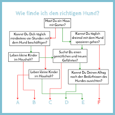 Aber es ist schwer, genug leute zum mitmachen zu finden. Wie Finde Ich Den Richtigen Hund