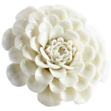 Herbal alternatives is one of the best cannabis dispensaries in washington dc. Livestream Lecture Female Collectors Of Porcelain Flowers And Floral Painting From The 18th 20th Centuries The Georgetowner