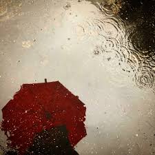 Enjoy our free hd porno movies. 1500 Couple In Rain Pictures Download Free Images On Unsplash