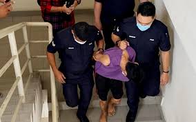 Dia didakwa mengikut seksyen 323 kanun keseksaan yang memperuntukkan hukuman penjara maksimum setahun atau denda. Seksyen 307 Kanun Keseksaan Seksyen 379a Kanun Keseksaan 232 Otmetok Nravitsya 1 Kommentariev Sinarharian Sinarharian V Instagram Jram Mai