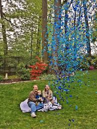 Pin On Gender Reveal Confetti Cannons