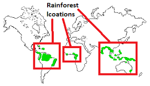 This map shows the location of the wolrd's rainforests. Rainforest Locations Map Where Are Tropical Rainforest Located T4tutorials Com
