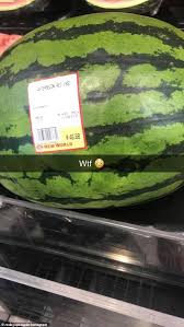 I will keep pushing my massive melons forward, further. Monster Watermelon Being Sold For 46 At New World Supermarket In New Zealand Daily Mail Online