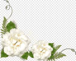 More than 1 billion png and jpeg images optimized and still counting! Arabian Jasmine Graphy Flower Jasmine White Gardenia Png Pngegg