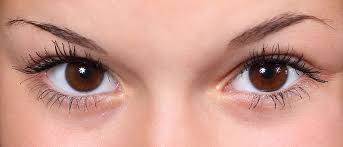 We did not find results for: Hd Wallpaper Human Brown Eyes Beautiful Close Up Eyebrows Eyelashes Female Wallpaper Flare