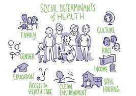 Because Of These Social Determinants Of Health Different People Face Unique Rea Social Determinants Of Health Community Health Nursing Healthcare Infographics