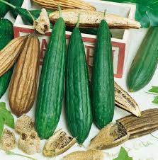 Image result for Luffa