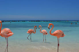 Maybe you would like to learn more about one of these? Abc Islands Yacht Charter Worth Avenue Yachts