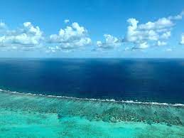 The belize barrier reef is one of four types of coral reefs: Guide To The Belize Barrier Reef Belize Adventure