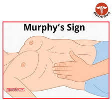 Image result for Murphy Sign