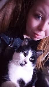 My cat, Tye-Fighter ran away if anyone sees him please contact me. My kids  are an absolute mess and it's 2 days before Christmas. Please, if you took  him in or have