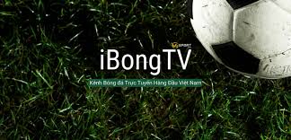 Thứ bảy, ngày 31 tháng bảy. Ibongda Tv Ibongda Tv Trá»±c Tiáº¿p Bong Ä'a Hom Nay Full Hd