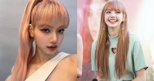 Lisa (BLACKPINK) continues to throw fans' teddy bears during concerts in  Hanoi, how bad is that?