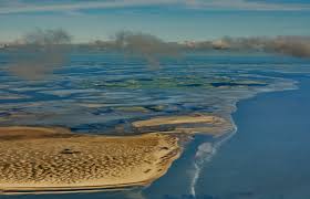 Check out our waddenzee selection for the very best in unique or custom, handmade pieces from our baby blankets shops. Wadden Sea Wikipedia