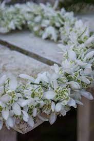 Maria Ntontidou Spring Flowers Beautiful Flowers White Flowers