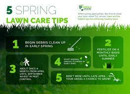 Have you recently had new sod installed? Spring Lawn Care Tips Grow Your Lawn Swazy Alexander Landscaping