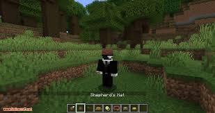 All towns and their inhabitants have been redesigned and overhauled making them smarter and fancier. Villager Hats Mod 1 16 4 1 15 1 Minecraft Mod Download