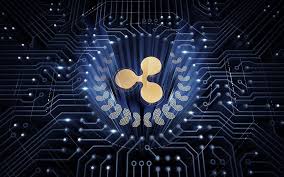 Introduction to ripple and xrp. Is Ripple A Good Investment And Can You Profit On Xrp In 2021 Primexbt