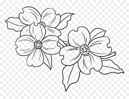 Easy Drawing Guides Simple Dogwood Flower Drawing Hd Png Download Vhv Over 24,712 simple flower drawing pictures to choose from, with no signup needed. simple dogwood flower drawing hd png