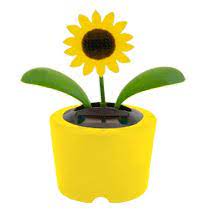 De ahelyett, hogy meglehetősen drága metronomokat használnánk, használhatnám néhány régi dollár tároló napfényt. 14 Solar Dancing Flowers Bugs Cute Ideas Solar Flowers Solar Power