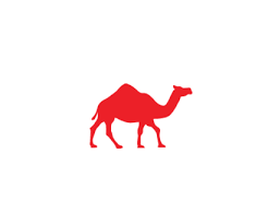Camels have long been domesticated and, as livestock, they provide food (milk and meat) and textiles (fiber and felt from hair). Red Camel Gear