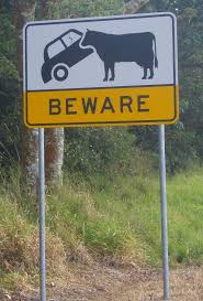 Those Darn Cows Lol Funny Road Signs Funny Signs Funny Pictures