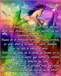 Eres Ave Fugaz Y Peregrina Que Banas Tus Alas En El Cielo Flotando Liviana Y Sin Destino Tal Vez Cumpliendo Tus Anhelo Un Gran Amor Nostalgia Y Imagen Con Frases Bonitas