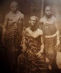 Image result for Agelanthus myrsinifolius