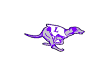 Carlinville Boys Varsity Soccer @ Lebanon