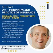 If someone needs C11