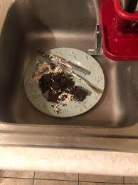 my family leaves half eaten food in the