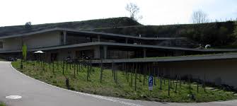 Die diebe entwenden dabei über 100 flaschen wein. Weingut Franz Keller Schwarzer Adler Wikipedia