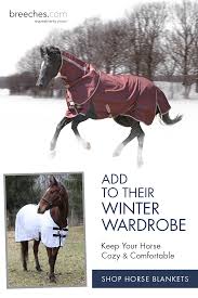 Cozy And Comfortable Horse Blankets Horses Horse Blankets Horse Riding Quotes